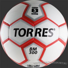 Torres BM300