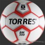 Torres BM300